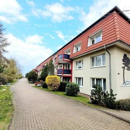 Duenengarten Nr 56 Mit Balkon Und Meerblick Ofc 20 Apartment